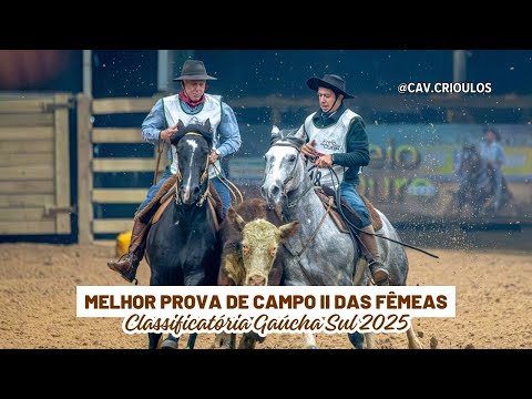 Domingueira do Recanto • Melhor Prova de Campo II das Fêmeas na  Classificatória Gaúcha Sul 2025