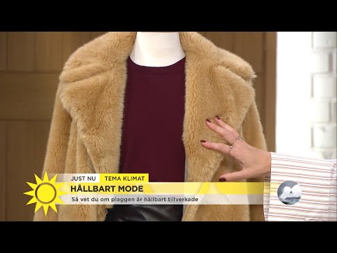 Hållbart mode – här är jackan som är gjord av gosedjurspäls - Nyhetsmorgon (TV4)