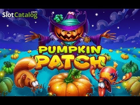 Pumpkin Patch gameplay video