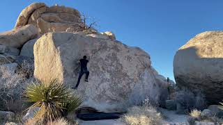 Video thumbnail of How's Your Mama, V4. Joshua Tree