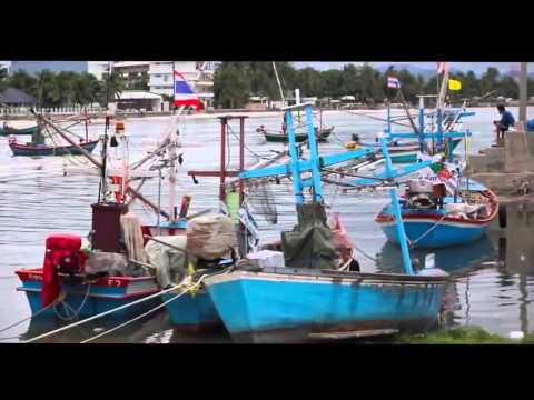 Panik Pop ft Joke - Life Is Journey (Radio Edit) (Official Video)