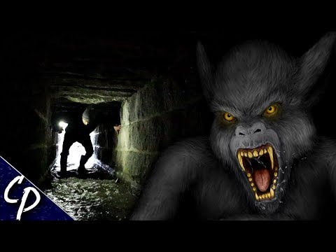 Investigating Toronto's Tunnel Monster | Cryptid Profile