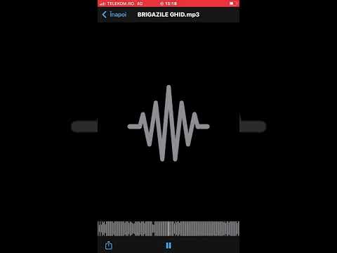 leak bani putere cu petre stefan #petrestefan #mgk666 #baniputererespect #m6 #nutu