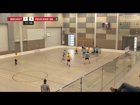 C1-Pojat, Welhot Flames - Pelicans SB,15.02.2020, Live