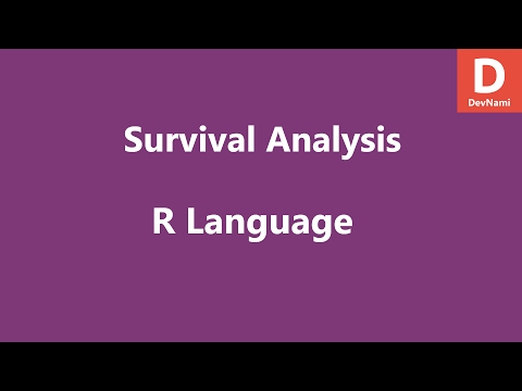 Read CSV File in R