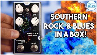 Video thumbnail for Missing Link Audio Peacock Dual Drive pedal Review by intheblues