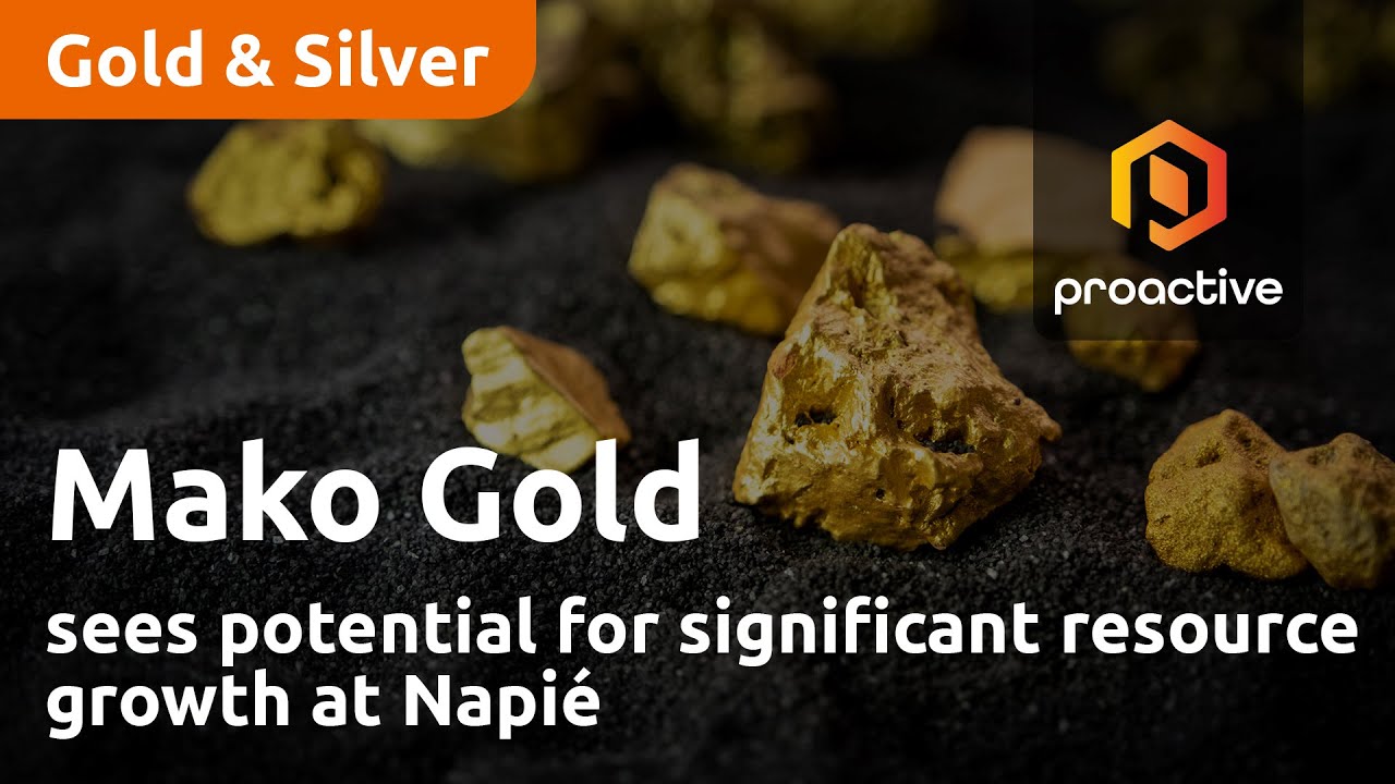 Mako Gold sees potential for significant resource growth at Napié