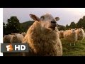 Babe (7/9) Movie CLIP - The Sheep Password (1995 ...