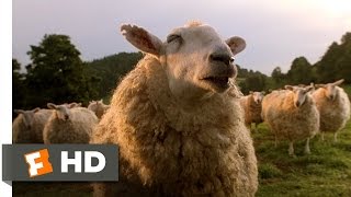 Video trailer för The Sheep Password