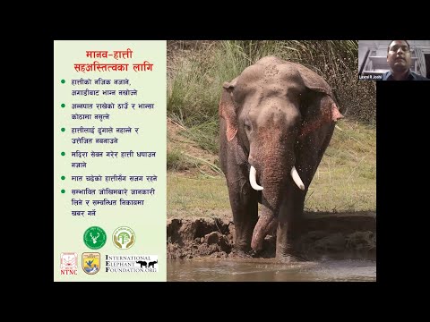 Conservation Chat with Laxmi Raj Joshi