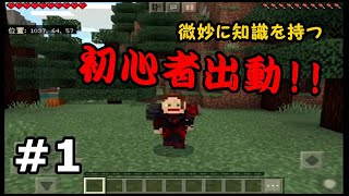 【初心者・マイクラ】にわか知識で始めます