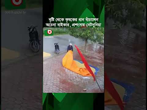 বৃষ্টি থেকে কৃষকের ধান বাঁচালেন অচেনা বাইকার, প্রশংসায় নেটদুনিয়া | Biker Save Rice | Tv News