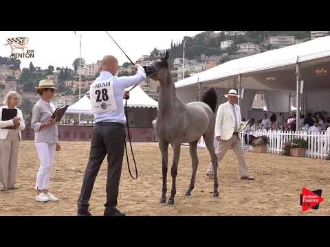 N.28 LALA ALKHASHAB - Menton 2019