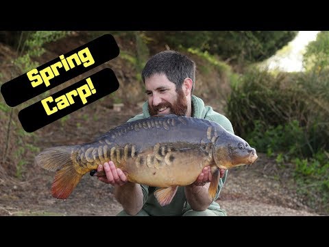 Carp Fishing ~ Spring Carp fishing (Trakker RLX nano chair review!) Video