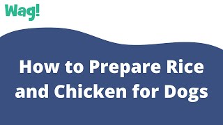 How to Prepare Rice and Chicken for Dogs | Wag!