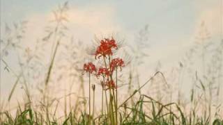 海援隊 贈る言葉 أغاني Mp3 مجانا 海援隊 贈る言葉 أغاني Mp3 مجانا