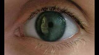 Megnum - Die Farbe deiner Augen
