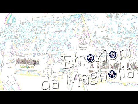 Emozioni da @MagnoliaCampobassoChannel: il racconto della sfida con la @OxygenRomaBasket