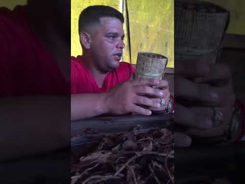 Original Cuban Cigars - How they roll a original Cuban Cigar