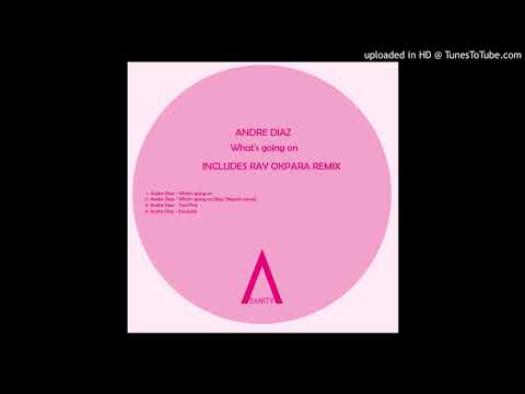 2. Andre Diaz - What's Going On (Ray Okpara Remix)