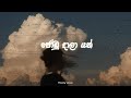 Api Jodu Dala Yan Slowed Reverb A Heartfelt Melodic Experience අපි ජෝඩු දාලා �