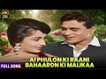 Ae Phoolon Ki Rani Baharon Ki Malika Arzoo 1965 Mohammed Rafi Evergreen Love Song 4K