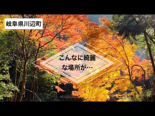 紅葉おすすめスポット3選【岐阜・川辺町・紅葉】