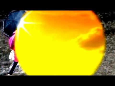 6 Saiten Rebellen - Sommerlied