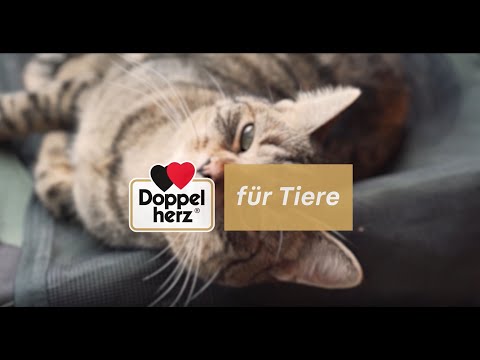 Produktvideo