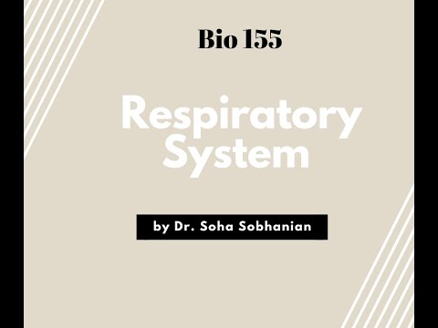 Respiratory System Part 2 (Biology 155)