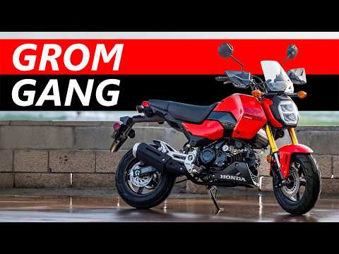 The Grom Makes NO SENSE America - Yet it's a Best Seller. How?