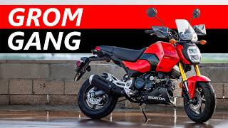 The Grom Makes NO SENSE America - Yet it's a Best Seller. How?