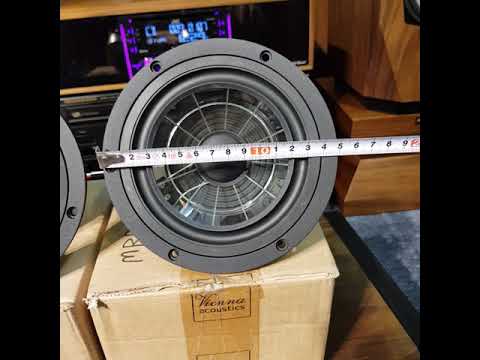 củ loa Vienna 15cm