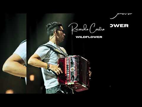 WILDFLOWER (instrumental cover) - Ricardo Castro