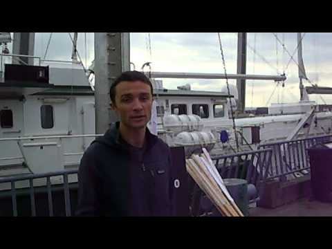 Greenpeace Rainbow Warrior Tour - Part 1