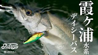 【霞ヶ浦デイシーバス】短時間で４本の釣果、バイブレーションで狙うパターンを公開 / 佐藤雅樹