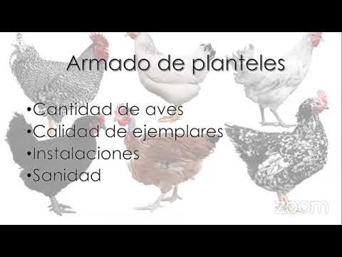 , title : 'Cría, manejo y selección de Aves Ornamentales'