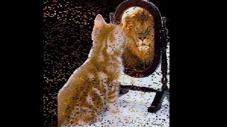 Che vuoi che sia -Pooh-