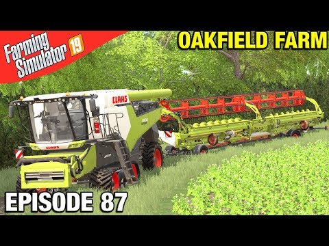 BIG LEXION IS ROLLING Farming Simulator 19 Timelapse - Oakfield Farm Seasons FS19 Episode 87