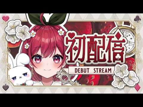 初配信