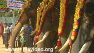 Parippally Gajamela - the elephantine festival