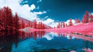 Outro.Distinto? - ٠Feliz, Feliz, Smile _]_ Åhhmah Yes°