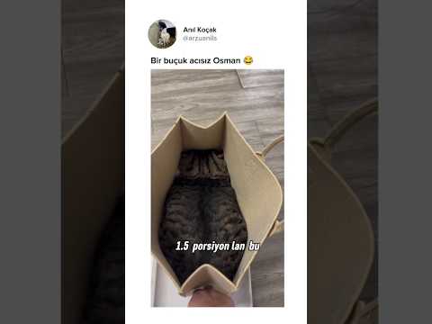 Takip ederek bize destek olmayı unutmayın kardeşlerim