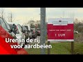 Massaal in de rij voor de aardbeien drive-in, wachttijd loopt op tot 3 uur
