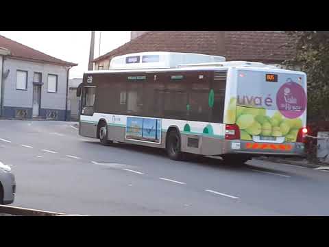 STCP 3201, 3202, 3203 e 3209 - 805