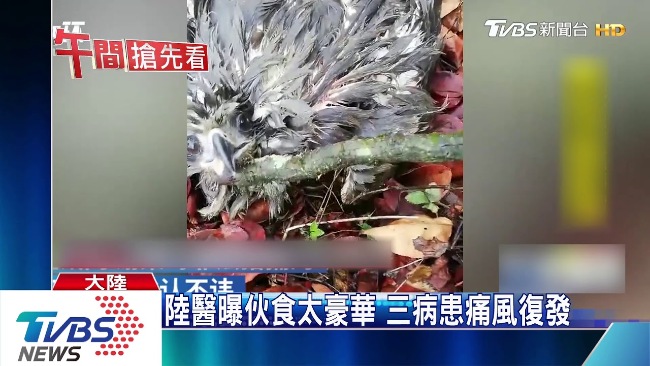 方艙醫院吃甲魚　陸網友：這不是野味嗎