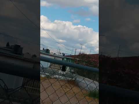 SWAT team busting Trap house