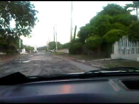 suh sick stain and cojoe