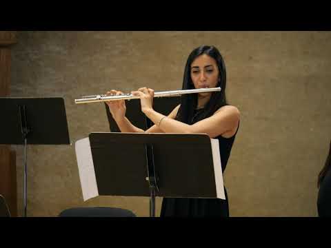 Promotional video thumbnail 1 for Moonlight Flute