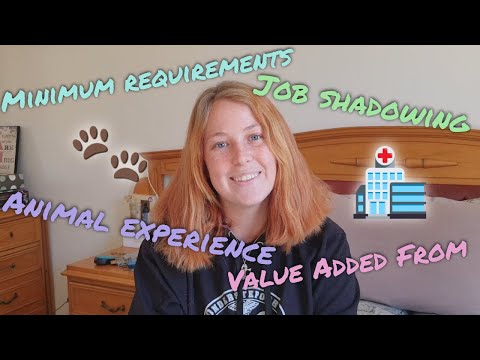 How To Get Into Vet School / Application Process // Vet Student In South Africa